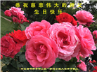 河北大法弟子恭贺世界法轮大法日暨师尊华诞(18条)