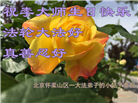 北京大法弟子恭贺世界法轮大法日暨师尊华诞(22条)