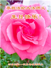 河北大法弟子恭贺世界法轮大法日暨师尊华诞(21条)