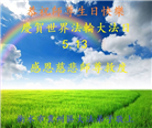 河北大法弟子恭贺世界法轮大法日暨师尊华诞(25条)