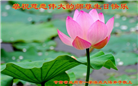 甘肃大法弟子恭贺世界法轮大法日暨师尊华诞(20条)
