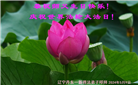 新学员恭贺世界法轮大法日暨师尊华诞(23条)