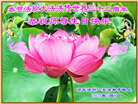 河北大法弟子恭贺世界法轮大法日暨师尊华诞(20条)