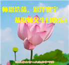 唐山大法弟子恭贺世界法轮大法日暨师尊华诞(24条)