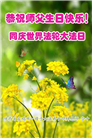 陕西大法弟子恭贺世界法轮大法日暨师尊华诞(18条)