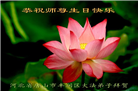 唐山大法弟子恭贺世界法轮大法日暨师尊华诞(23条)