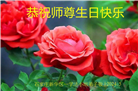 石家庄大法弟子恭贺世界法轮大法日暨师尊华诞(19条)