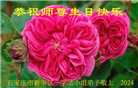 石家庄大法弟子恭贺世界法轮大法日暨师尊华诞(19条)