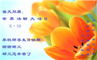 石家庄大法弟子恭贺世界法轮大法日暨师尊华诞(21条)