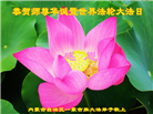法轮大法传华夏　师尊洪恩惠各族