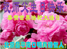 北京大法弟子恭贺世界法轮大法日暨师尊华诞(22条)