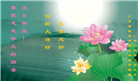 教育系统大法弟子恭贺世界法轮大法日暨师尊华诞(19条)