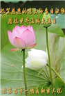 北京大法弟子恭贺世界法轮大法日暨师尊华诞(18条)