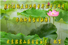 北京大法弟子恭贺世界法轮大法日暨师尊华诞(18条)
