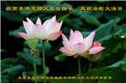 北京大法弟子恭贺世界法轮大法日暨师尊华诞(18条)