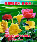 葫芦岛大法弟子恭贺世界法轮大法日暨师尊华诞(18条)