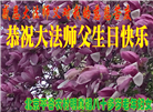 乡村大法弟子恭贺世界法轮大法日暨师尊华诞(22条)