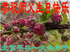 北京大法弟子恭贺世界法轮大法日暨师尊华诞(20条)