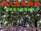 北京大法弟子恭贺世界法轮大法日暨师尊华诞(20条)