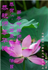 河南大法弟子恭贺世界法轮大法日暨师尊华诞(22条)