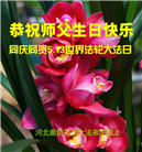 廊坊大法弟子恭贺世界法轮大法日暨师尊华诞(21条)
