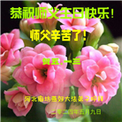 廊坊大法弟子恭贺世界法轮大法日暨师尊华诞(21条)