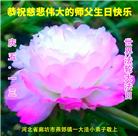 大法小弟子恭贺世界法轮大法日暨师尊华诞(20条)