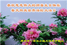 海南、河南大法弟子恭贺世界法轮大法日暨师尊华诞(27条)
