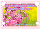 西欧七国大法弟子恭贺世界法轮大法日暨师尊华诞