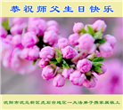沈阳大法弟子恭贺世界法轮大法日暨师尊华诞(19条)