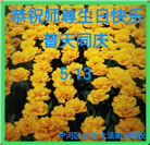 天津大法弟子恭贺世界法轮大法日暨师尊华诞(18条)