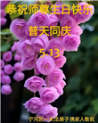 天津大法弟子恭贺世界法轮大法日暨师尊华诞(18条)