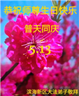 天津大法弟子恭贺世界法轮大法日暨师尊华诞(18条)