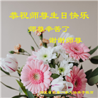 张家口大法弟子恭贺世界法轮大法日暨师尊华诞(23条)