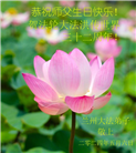甘肃大法弟子恭贺世界法轮大法日暨师尊华诞(19条)