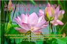 海外大法弟子恭贺世界法轮大法日暨师尊华诞