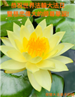 西欧七国大法弟子恭贺世界法轮大法日暨师尊华诞
