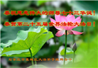 石家庄大法弟子恭贺世界法轮大法日暨师尊华诞(24条)
