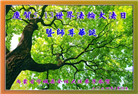内蒙古大法弟子恭贺世界法轮大法日暨师尊华诞(19条)