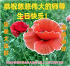 教育系统大法弟子恭贺世界法轮大法日暨师尊华诞(19条)