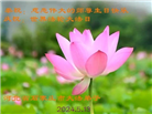 石家庄大法弟子恭贺世界法轮大法日暨师尊华诞(24条)