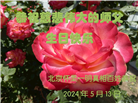 北京大法弟子恭贺世界法轮大法日暨师尊华诞(18条)