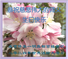 北京大法弟子恭贺世界法轮大法日暨师尊华诞(18条)