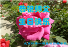 北京大法弟子恭贺世界法轮大法日暨师尊华诞(18条)