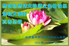 北京大法弟子恭贺世界法轮大法日暨师尊华诞(18条)