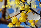 张家口大法弟子恭贺世界法轮大法日暨师尊华诞(23条)