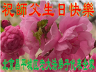 北京大法弟子恭贺世界法轮大法日暨师尊华诞(18条)
