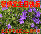 新学员恭贺世界法轮大法日暨师尊华诞(23条)