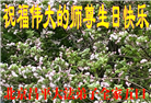 北京大法弟子恭贺世界法轮大法日暨师尊华诞(20条)