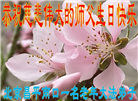 北京大法弟子恭贺世界法轮大法日暨师尊华诞(20条)